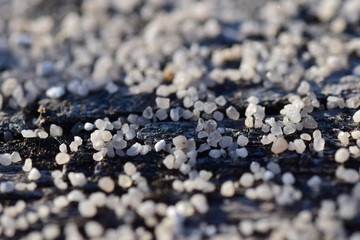 Hintergrundbild - weiß graue Steinchen auf Holz  