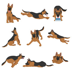 German shepherd dogs in different poses. Shepherd characters set