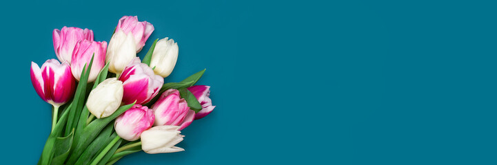 Banner with bouquet of tulips in pink and white colors on blue background. Concept of spring, Women's Day, Mother's Day, 8 March, the holiday greetings. Copy space, flat lay.