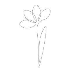 Flower isolated on white background vector illustration