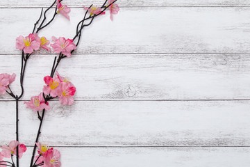 Fototapeta premium 桜の花と白い木の板の背景