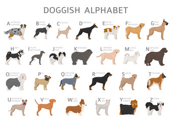 Doggish alphabet for dog lovers. Letters of the alphabet with the names of the dog breeds - obrazy, fototapety, plakaty