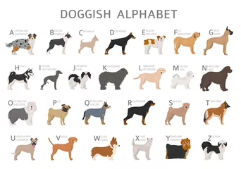 Deurstickers Doggish alphabet for dog lovers. Letters of the alphabet with the names of the dog breeds © a7880ss