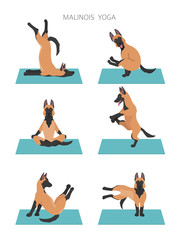Yoga dogs poses and exercises poster design. Belgian malinois clipart
