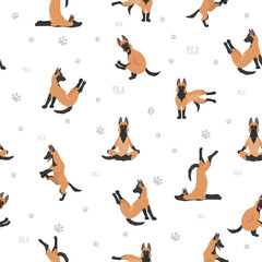 Yoga dogs poses and exercises poster design. Belgian malinois seamless pattern