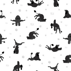 Yoga dogs poses and exercises poster design. Portuguese water dog  seamless pattern