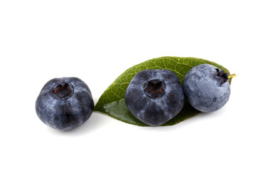 Blueberries on leaf