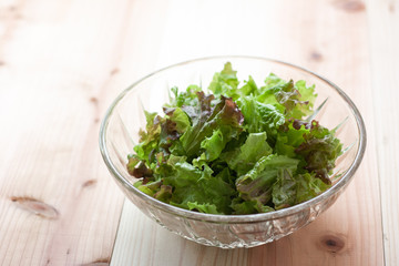 サラダボウルに入ったレタス