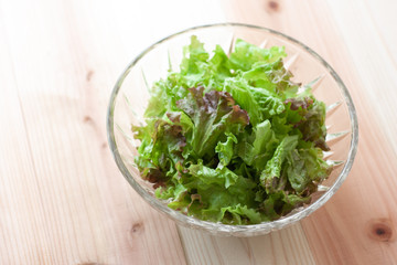 サラダボウルに入ったレタス
