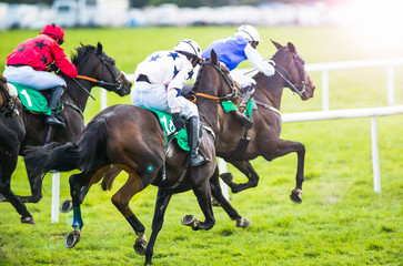 Race horses and jockeys racing into the sun, cross processed sun flare effect