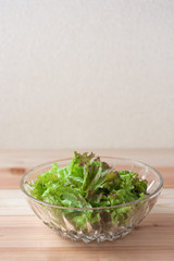 サラダボウルに入ったレタス