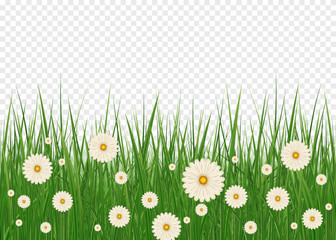 Green Grass with flowers 