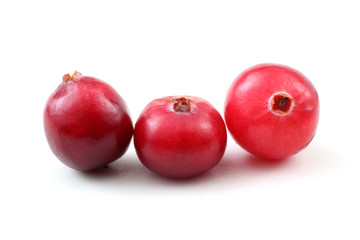 Fototapeta na wymiar Cranberries