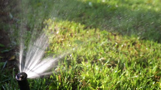 Closeup view video of irrigation automatic system working in green sunny summer park outdoors.
