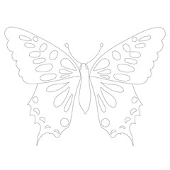 isolated, butterfly minimal sketch, outline