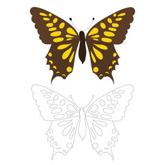 Fototapeta na wymiar isolated, brown butterfly, coloring book