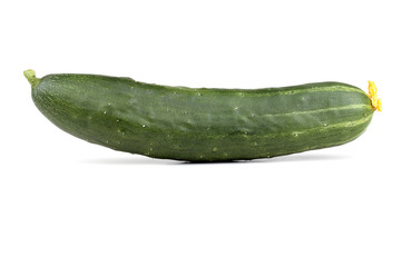 Cucumber