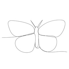 butterfly continuous line drawing, sketch