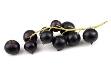 Cluster of black currant