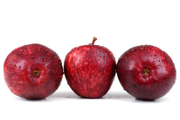 Three gala apples