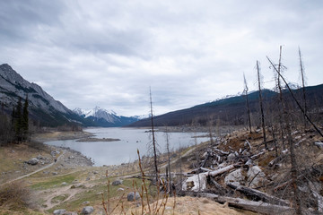 Dead trees destroyed by forest fire, al lake in the middle, Canada