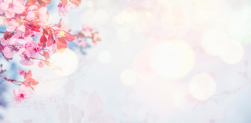 Obraz na płótnie Canvas Spring blossom background.