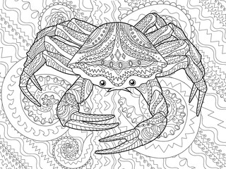 Antistress coloring page for adults with sea crab. Black white hand drawn vector doodle of oceanic animal for coloring.