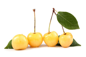 Yellow cherries and leaves