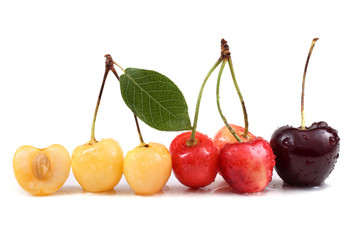 Different color cherries