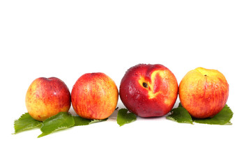 Nectarines and leaves