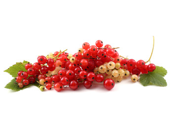 Red and white currants