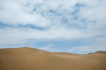 Fototapeta na wymiar Huacachina Peru. Desert. Dunes. Sand. 