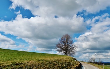 Dynamischer Wolkenhimmel mit Baum