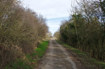 Feldweg 