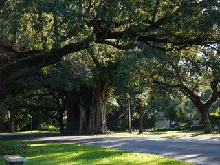 USA, Miami, Coral Gables