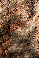 brown rock surface in the nature