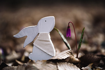 Easter rabbit in the forest with flowers and eggs. Spring time. 