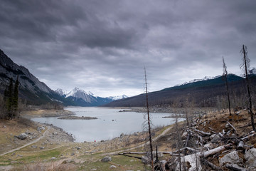 Dead trees destroyed by forest fire, al lake in the middle, Canada