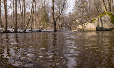 foreground water texture with tree glare