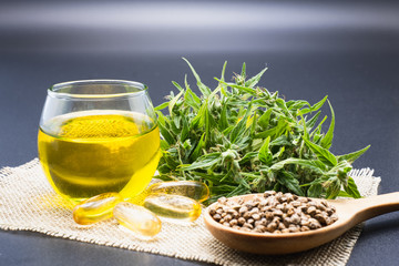 Cbd hemp oil, seeds and leaves and tablets are extracted from natural cannabis, black background,...