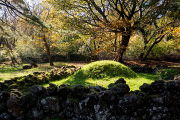 Jeolmul Natural Forest Resort Burial Mound Jeju