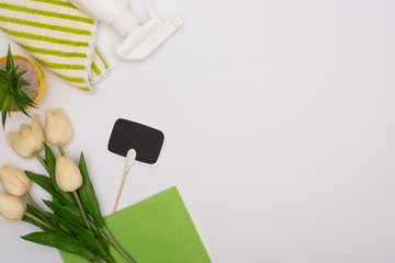top view of spring plants and green cleaning supplies near blank card on white background