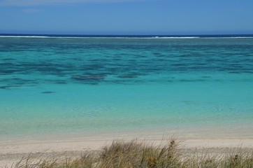 Tropischer Traumstrand mit kristallklarem türkisen Wasser am Ningaloo Reef Australien