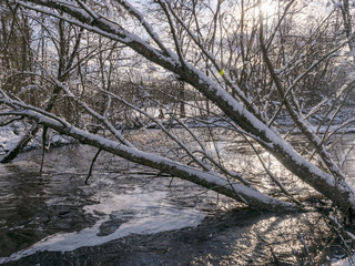 winter landscape with wild fast flowing river, snow covered land