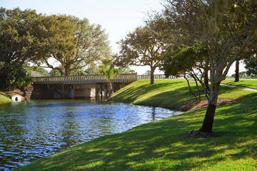 Fototapeta premium Natural parkland with lake. Florida, USA