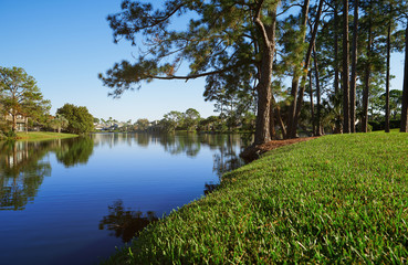 Small lake in Florida, USA