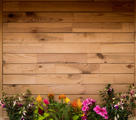 rustic brown wooden plank - recycled material - horizontal striped - old pattern -background - plants in spring bloom