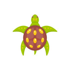 Sea turtle vector illustration in cartoon style. Terrapins icon isolated. Ocean animal.