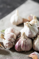 Garlic canvas fabric. The view from the top. Vertical orientation