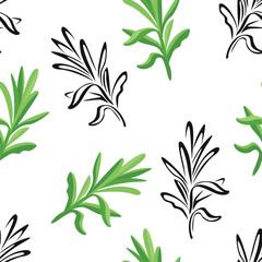 Tarragon leaf seamless pattern. Vector color illustration of green culinary aromatic estragon herb on  white background. Black and white outline.